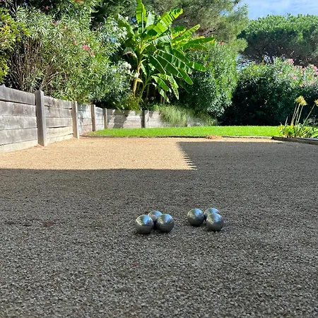 Villa Palombes Au Cap Ferret Charming With Swimming Pool