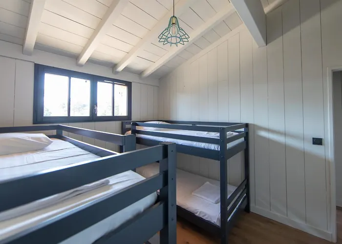 Palombes Au Cap Ferret Charming With Swimming Pool * Lège-Cap-Ferret